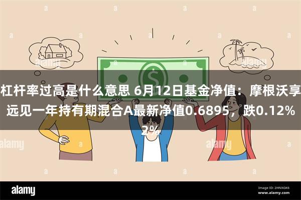 杠杆率过高是什么意思 6月12日基金净值：摩根沃享远见一年持有期混合A最新净值0.6895，跌0.12%