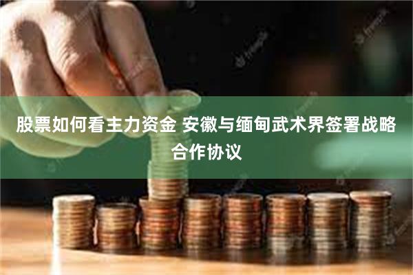 股票如何看主力资金 安徽与缅甸武术界签署战略合作协议