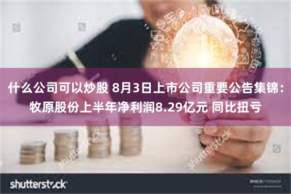 什么公司可以炒股 8月3日上市公司重要公告集锦：牧原股份上半年净利润8.29亿元 同比扭亏