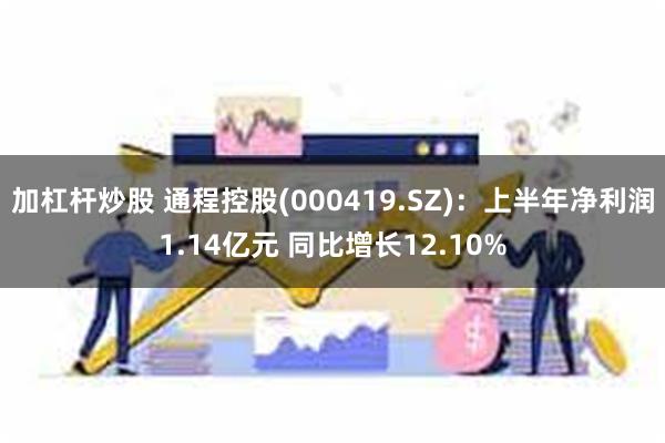 加杠杆炒股 通程控股(000419.SZ)：上半年净利润1.14亿元 同比增长12.10%