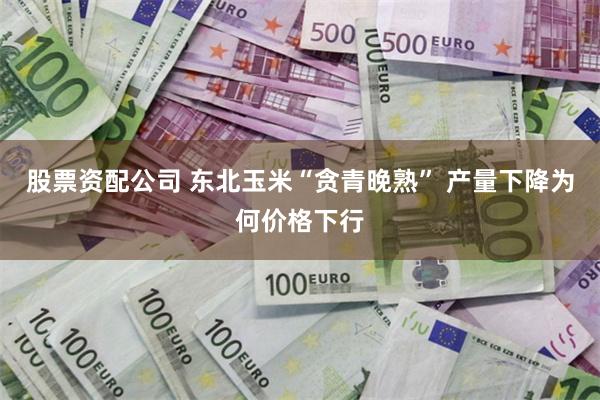 股票资配公司 东北玉米“贪青晚熟” 产量下降为何价格下行