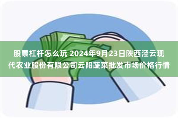 股票杠杆怎么玩 2024年9月23日陕西泾云现代农业股份有限公司云阳蔬菜批发市场价格行情