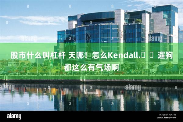 股市什么叫杠杆 天哪！怎么Kendall.​​遛狗都这么有气场啊