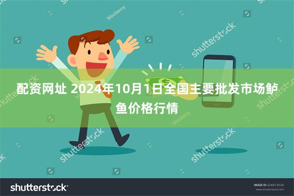 配资网址 2024年10月1日全国主要批发市场鲈鱼价格行情