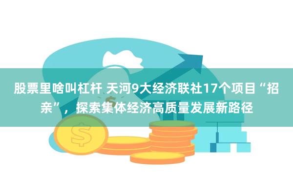 股票里啥叫杠杆 天河9大经济联社17个项目“招亲”，探索集体经济高质量发展新路径