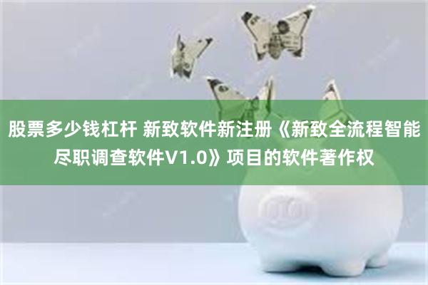 股票多少钱杠杆 新致软件新注册《新致全流程智能尽职调查软件V1.0》项目的软件著作权