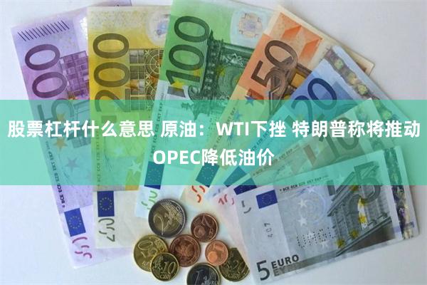 股票杠杆什么意思 原油：WTI下挫 特朗普称将推动OPEC降低油价