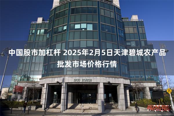 中国股市加杠杆 2025年2月5日天津碧城农产品批发市场价格行情