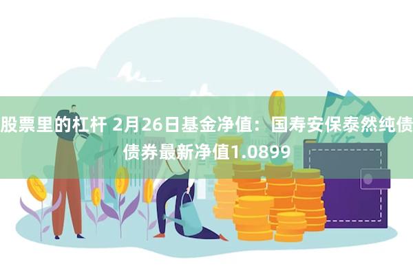 股票里的杠杆 2月26日基金净值：国寿安保泰然纯债债券最新净值1.0899